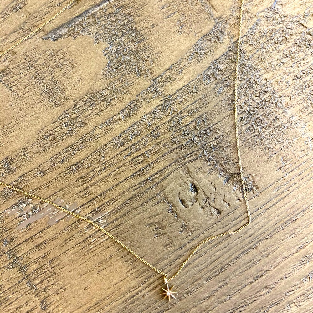 Dana Rebecca Star burst necklace